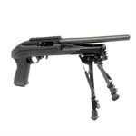 Ruger Charger Schaft AXIOM R/F Blackhawk 